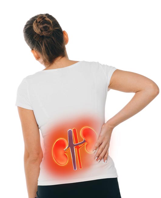 A woman in a white shirt holds her lower back, with an illustration of kidneys highlighted in red over the affected area.