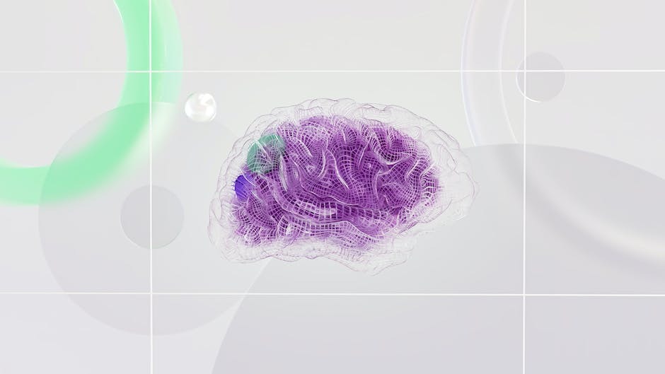 Meals for Brain Function