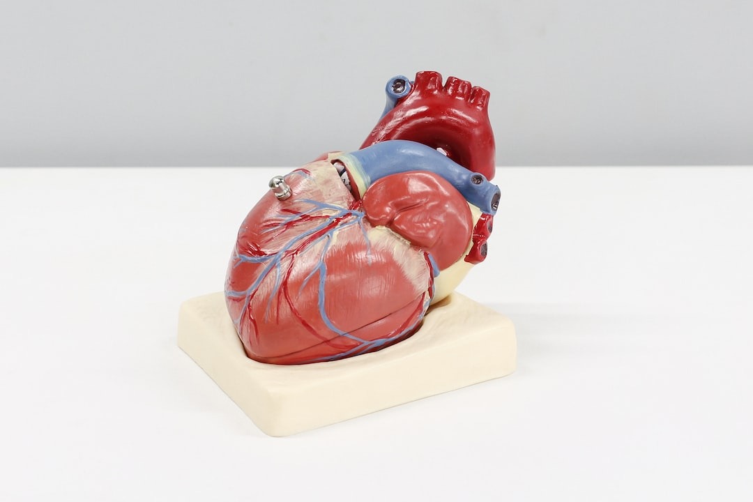 Meals for Heart Conditions