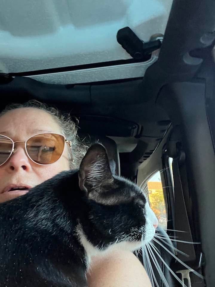 LifeSpring Homenutrition Meals